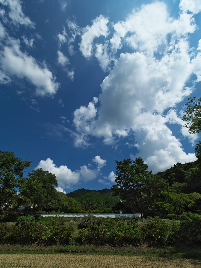 里の秋