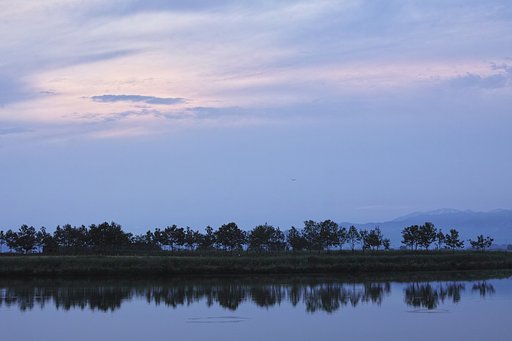 1月12日の写真