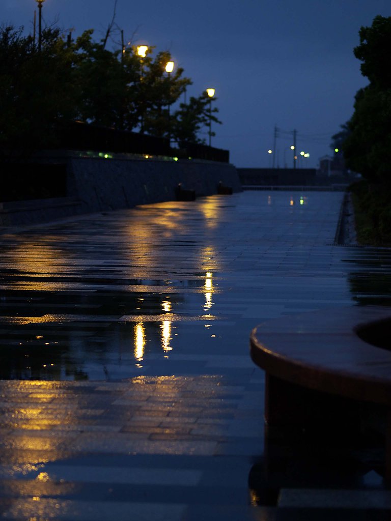 雨の海岸公園