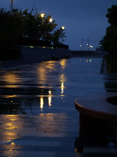 雨の海岸公園