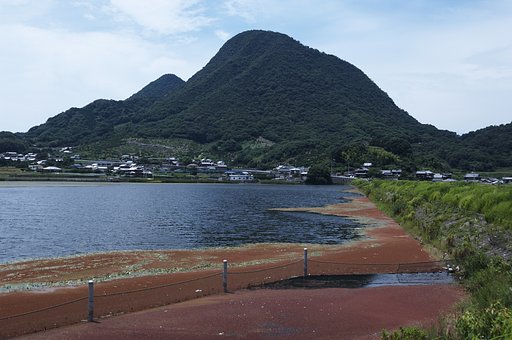 里山