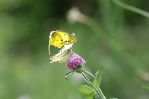 7月27日の写真