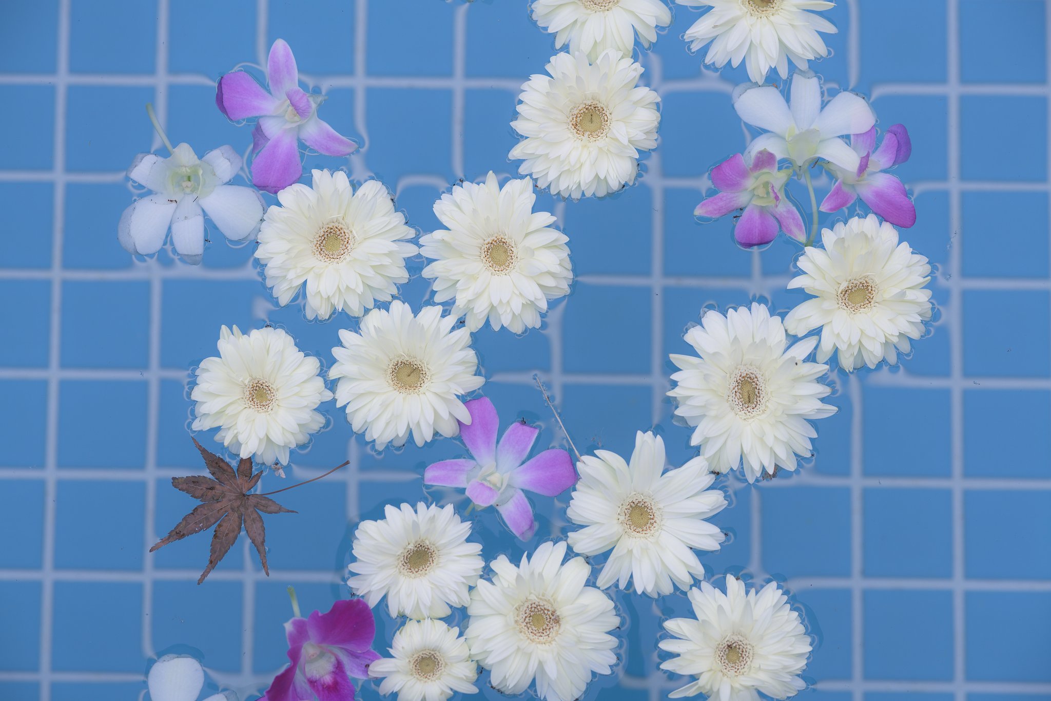 蜜月期間