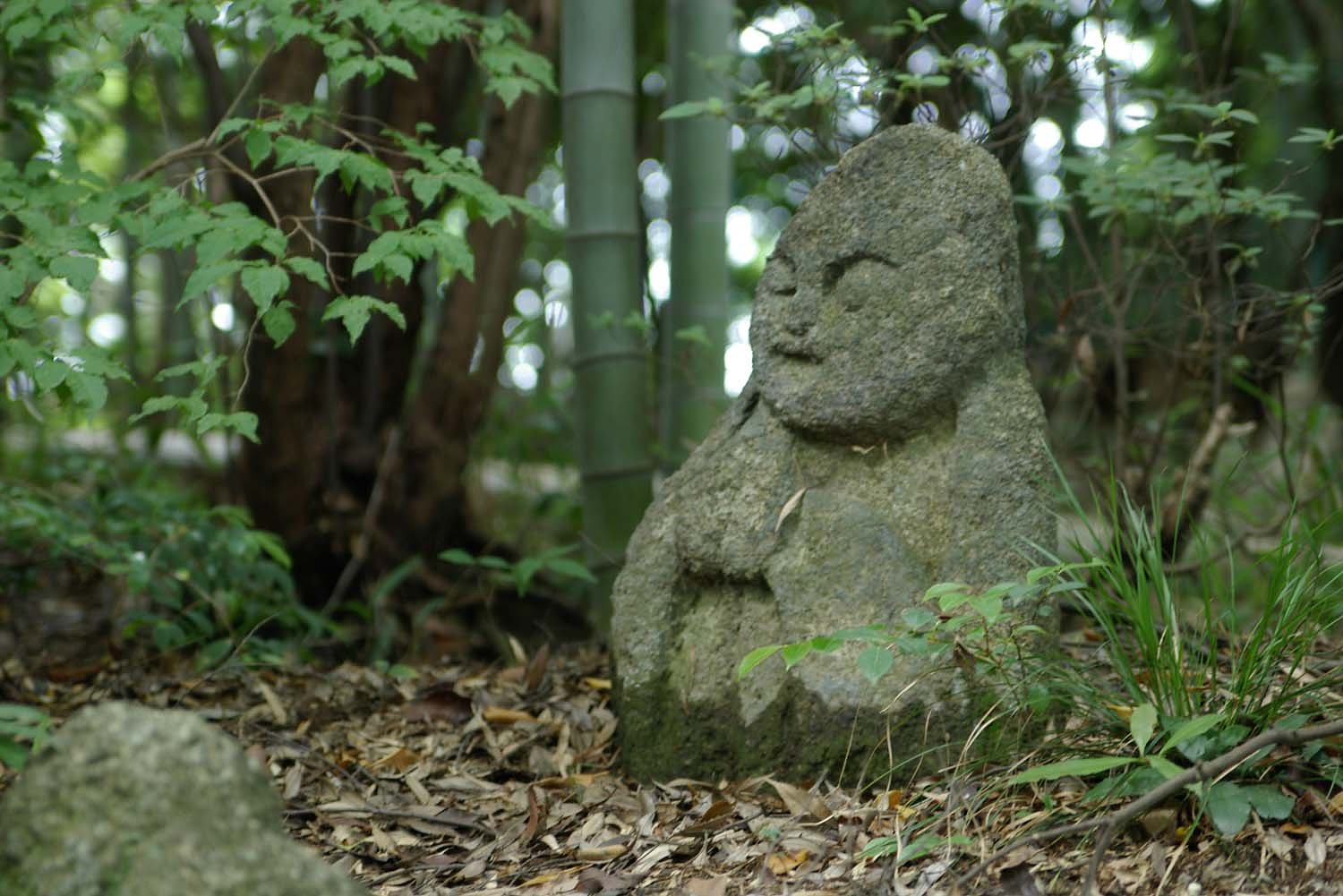 羅漢２
