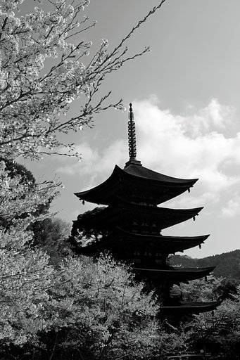 国宝