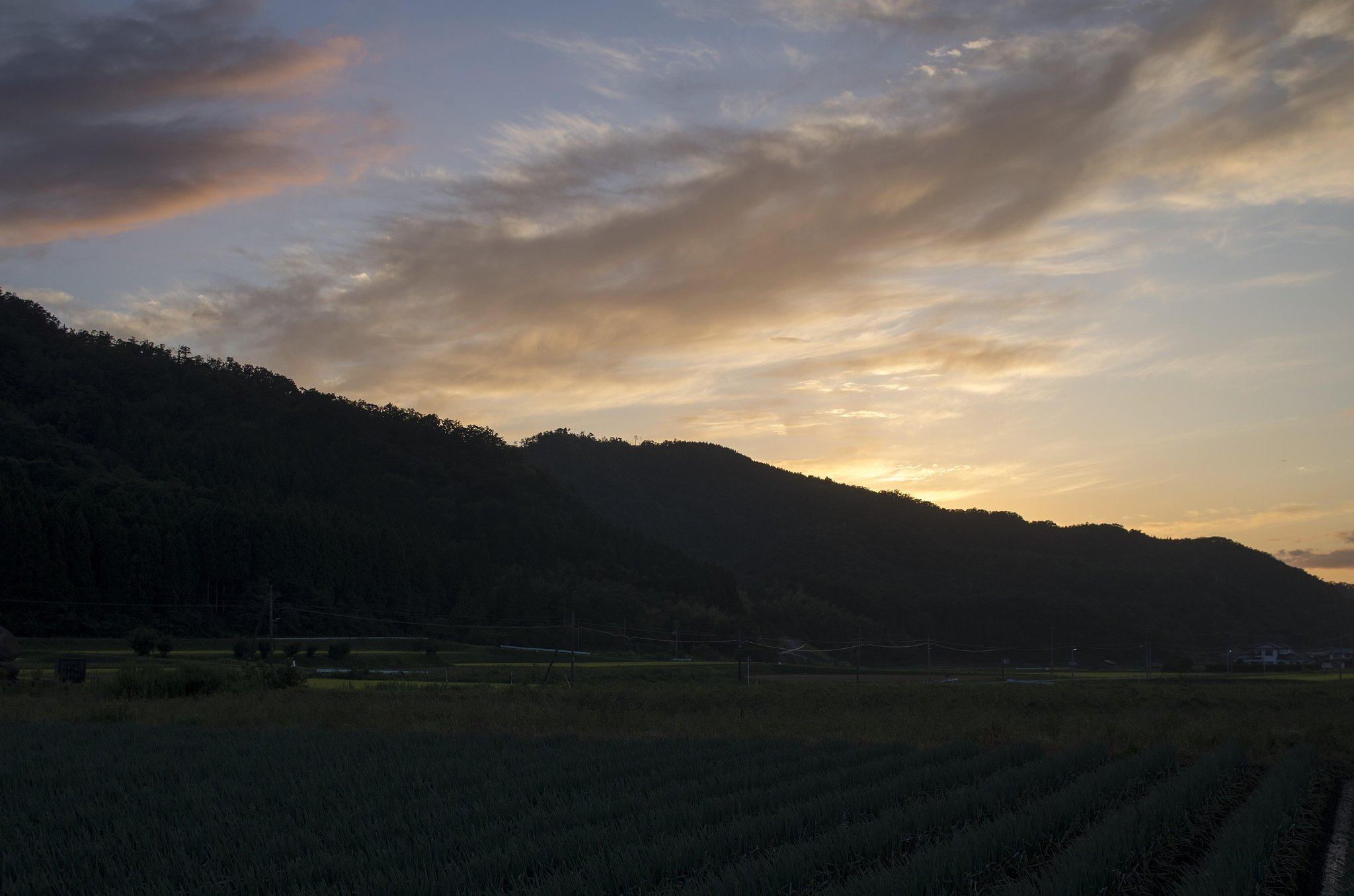 美しい夕焼け