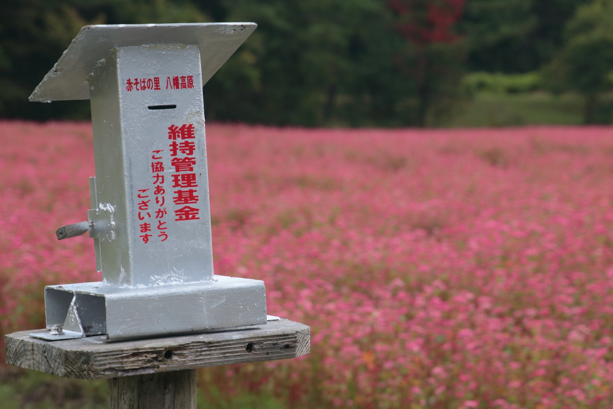 募金箱