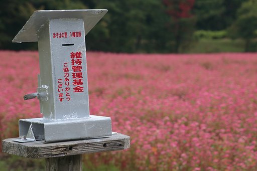 募金箱