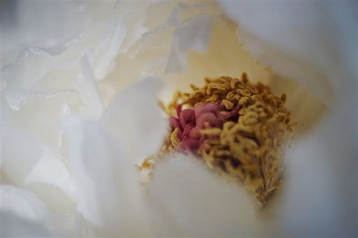 1月15日の写真