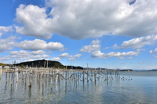 寒いです