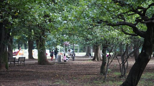 砧公園にて