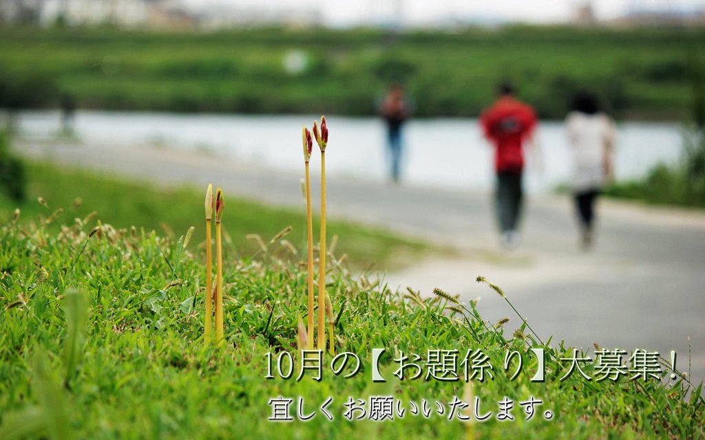 【横顔】～彼岸花のお願い～