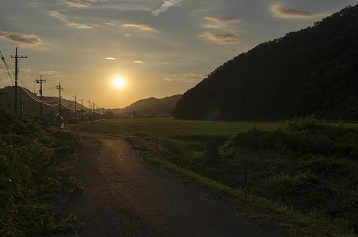 夕焼けに