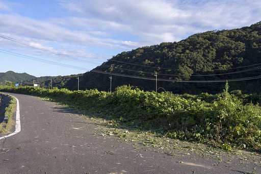 身に染みて暑い