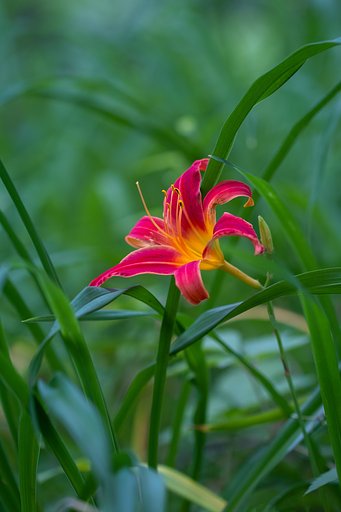 EF100mm F2.8 L IS MACRO