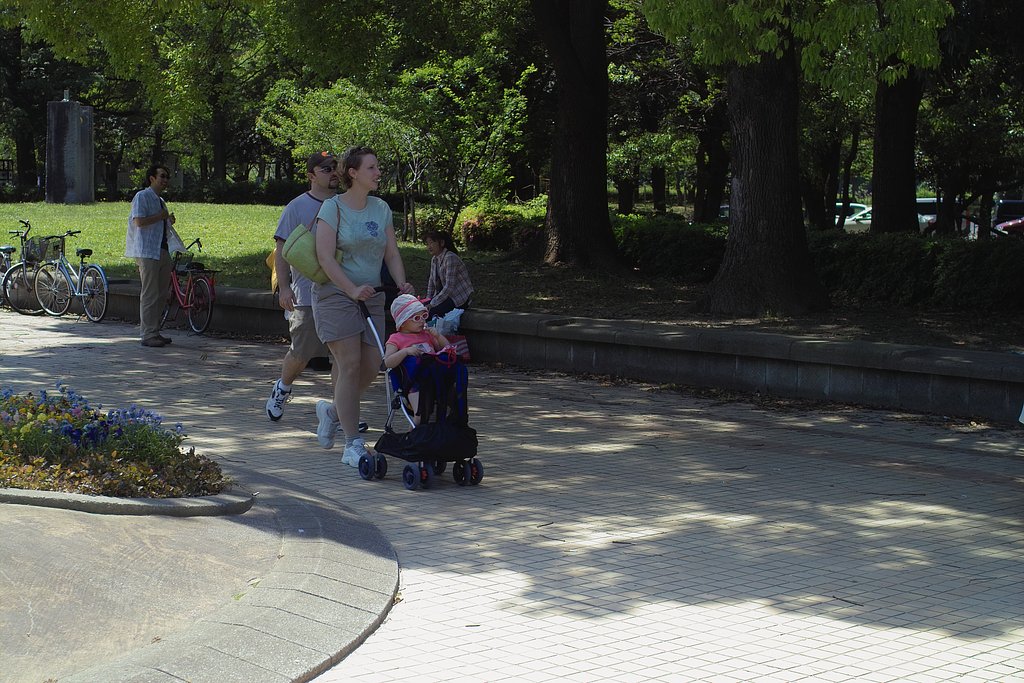 初夏の公園。