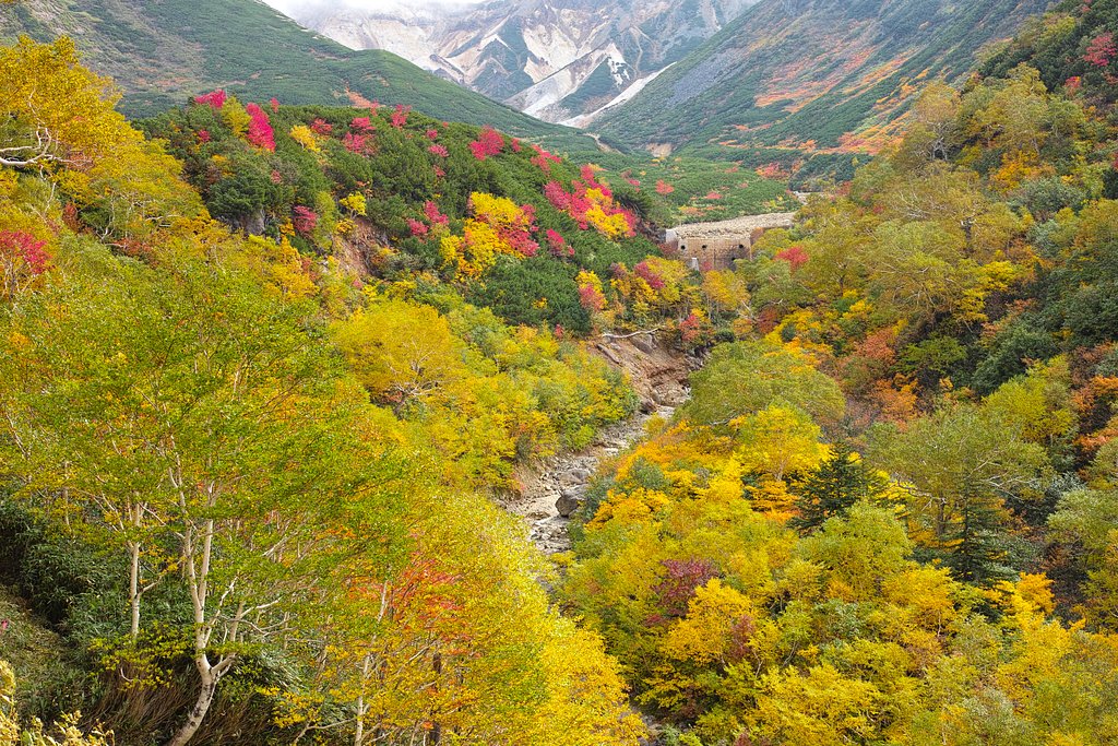 十勝岳温泉紅葉