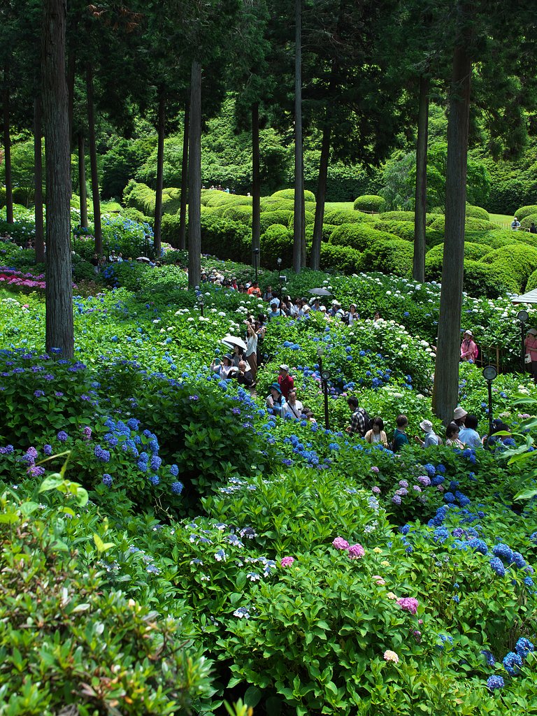 ED17mm F1.2 Pro