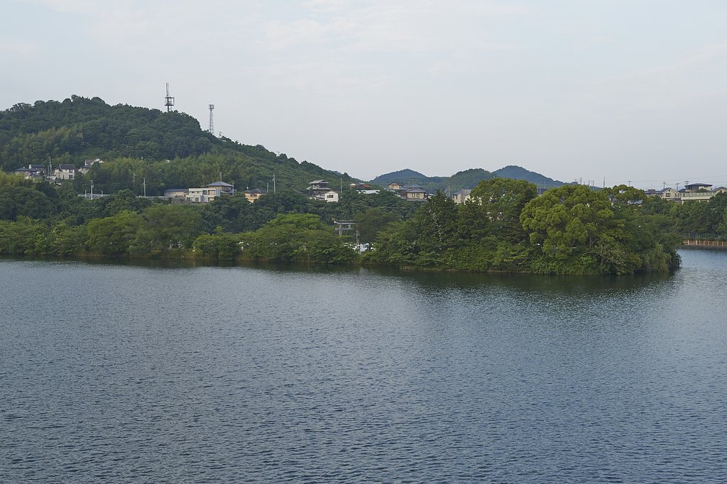 散歩撮影