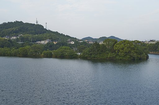 散歩撮影
