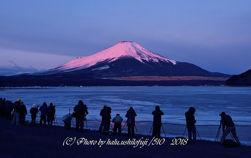 其々の紅富士