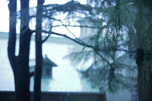 季節は雨音のようにⅣ