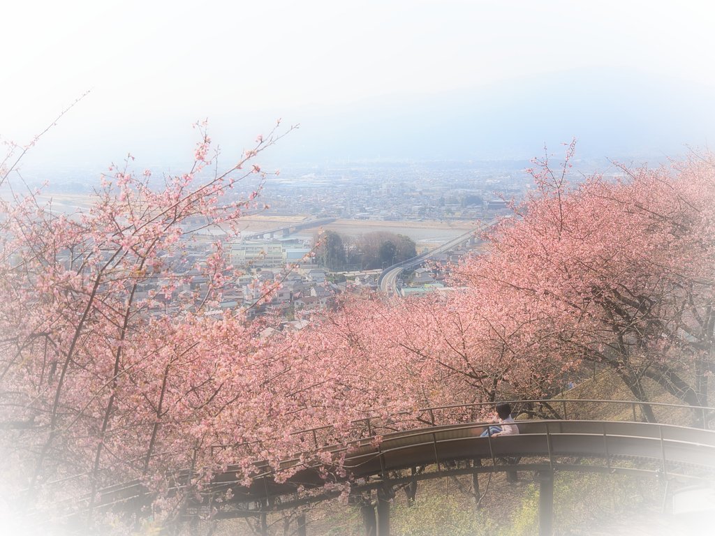 春のウェーブ