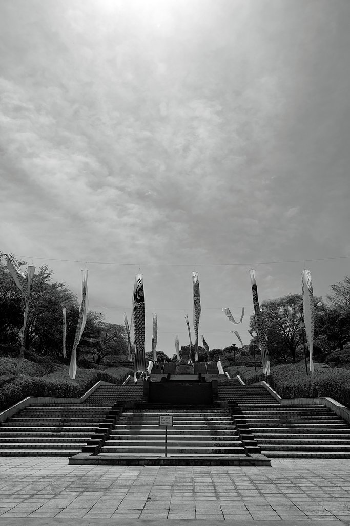 昼休みの公園