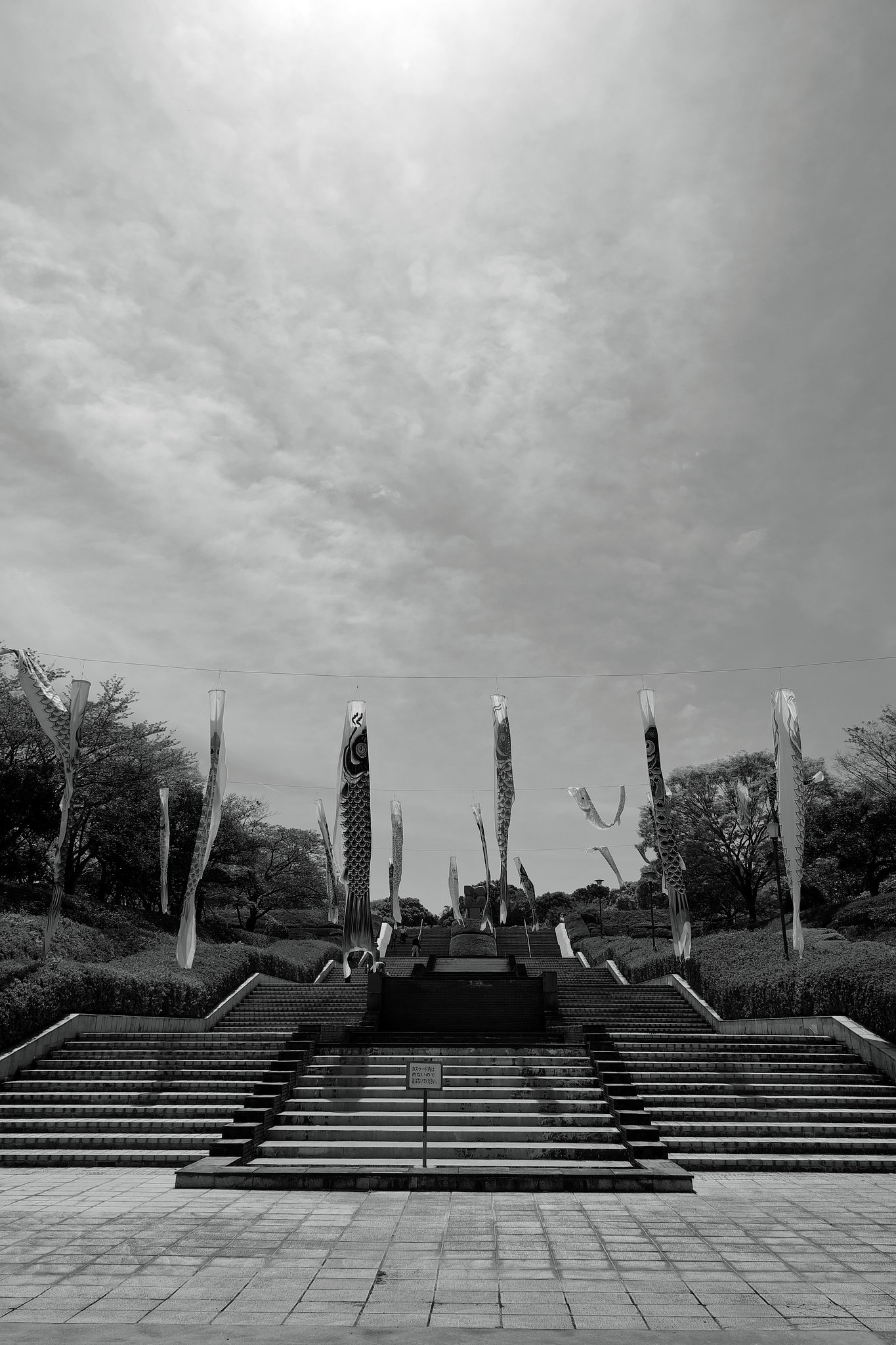 昼休みの公園