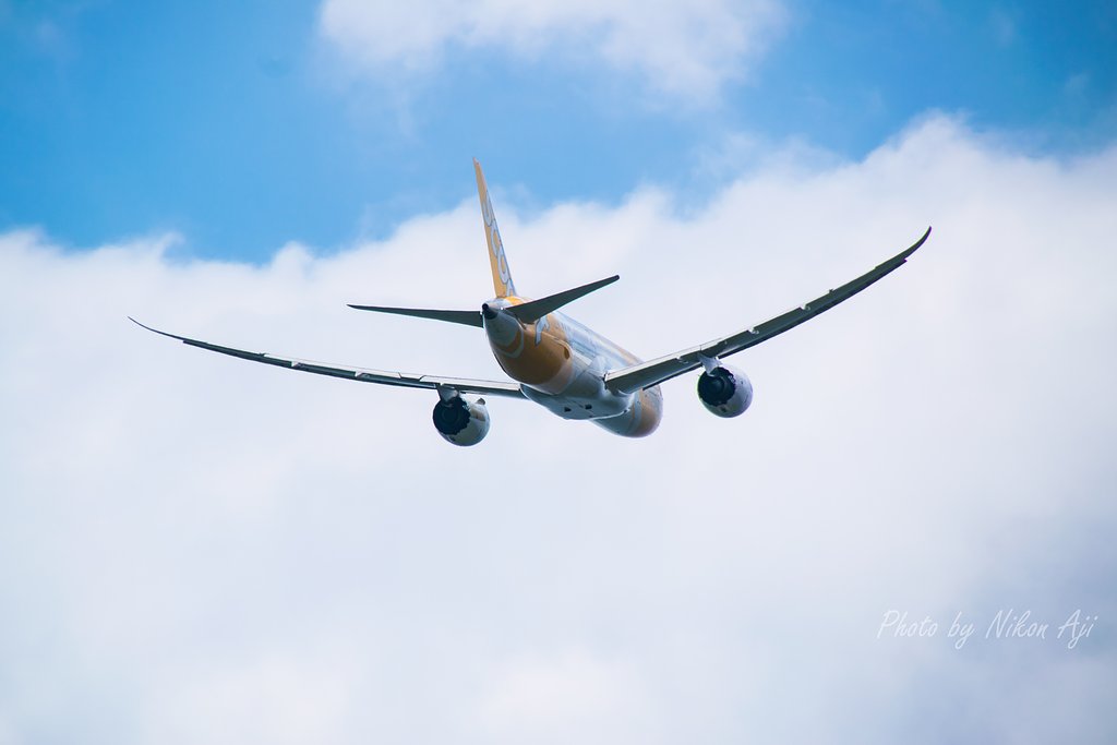 Flyscoot「フライスクート」　B-787