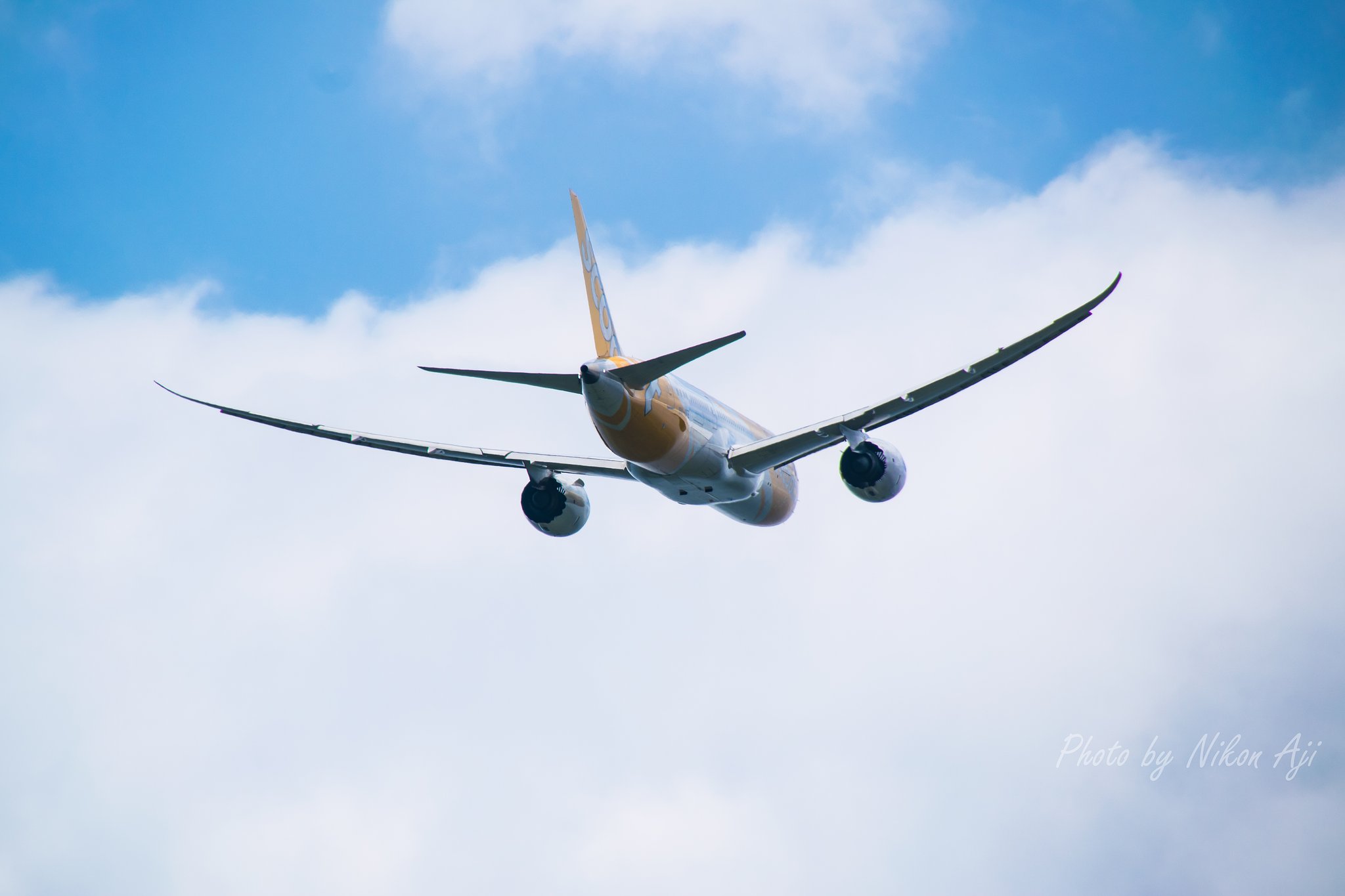 Flyscoot「フライスクート」　B-787