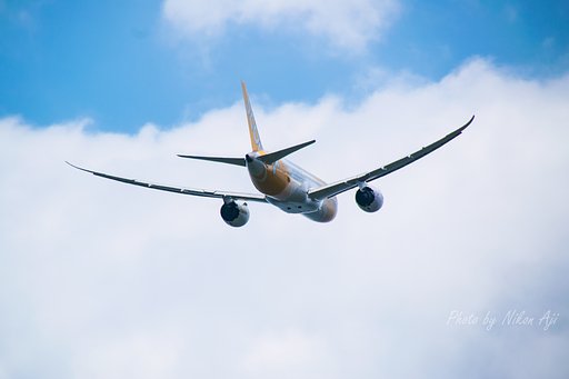 Flyscoot「フライスクート」　B-787