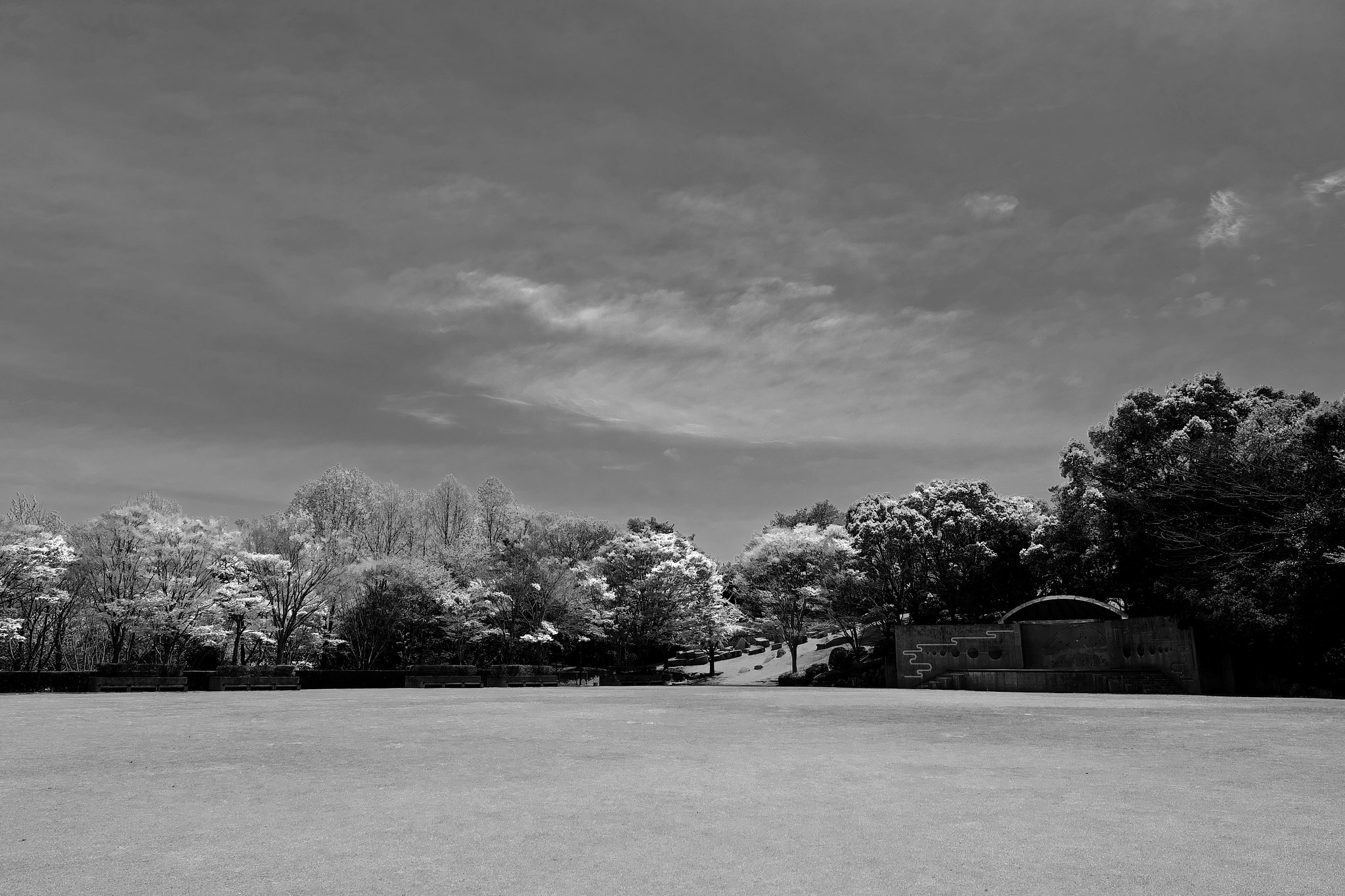 公園