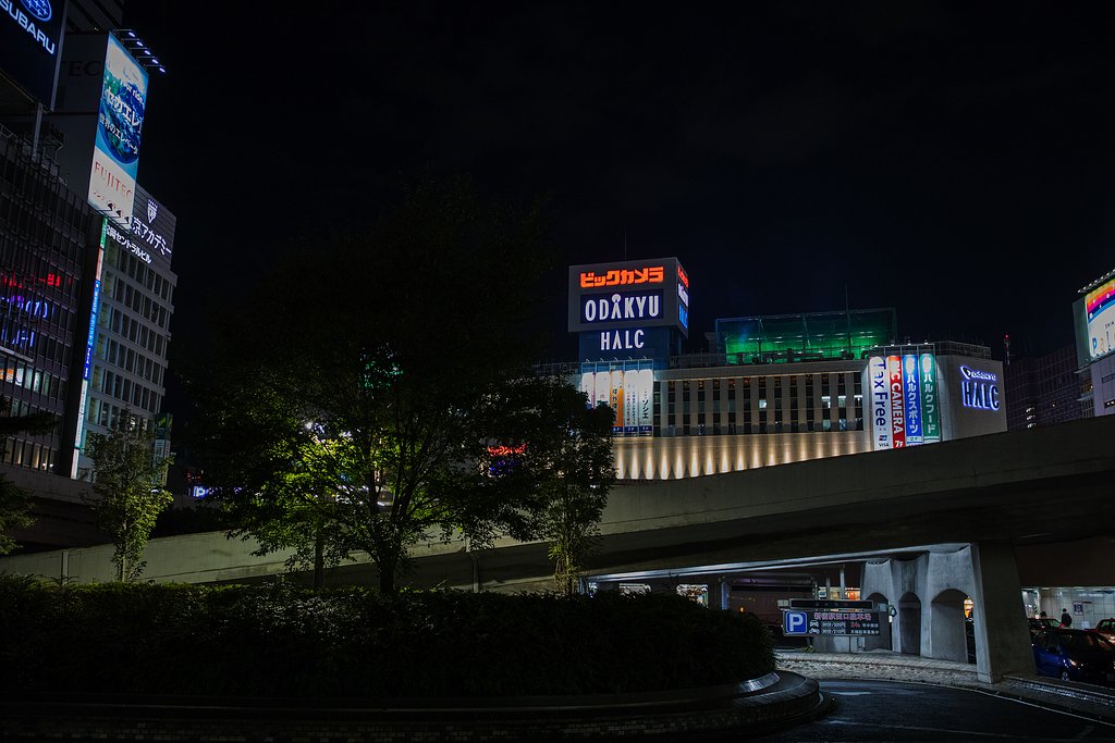 これから夜の顔へ