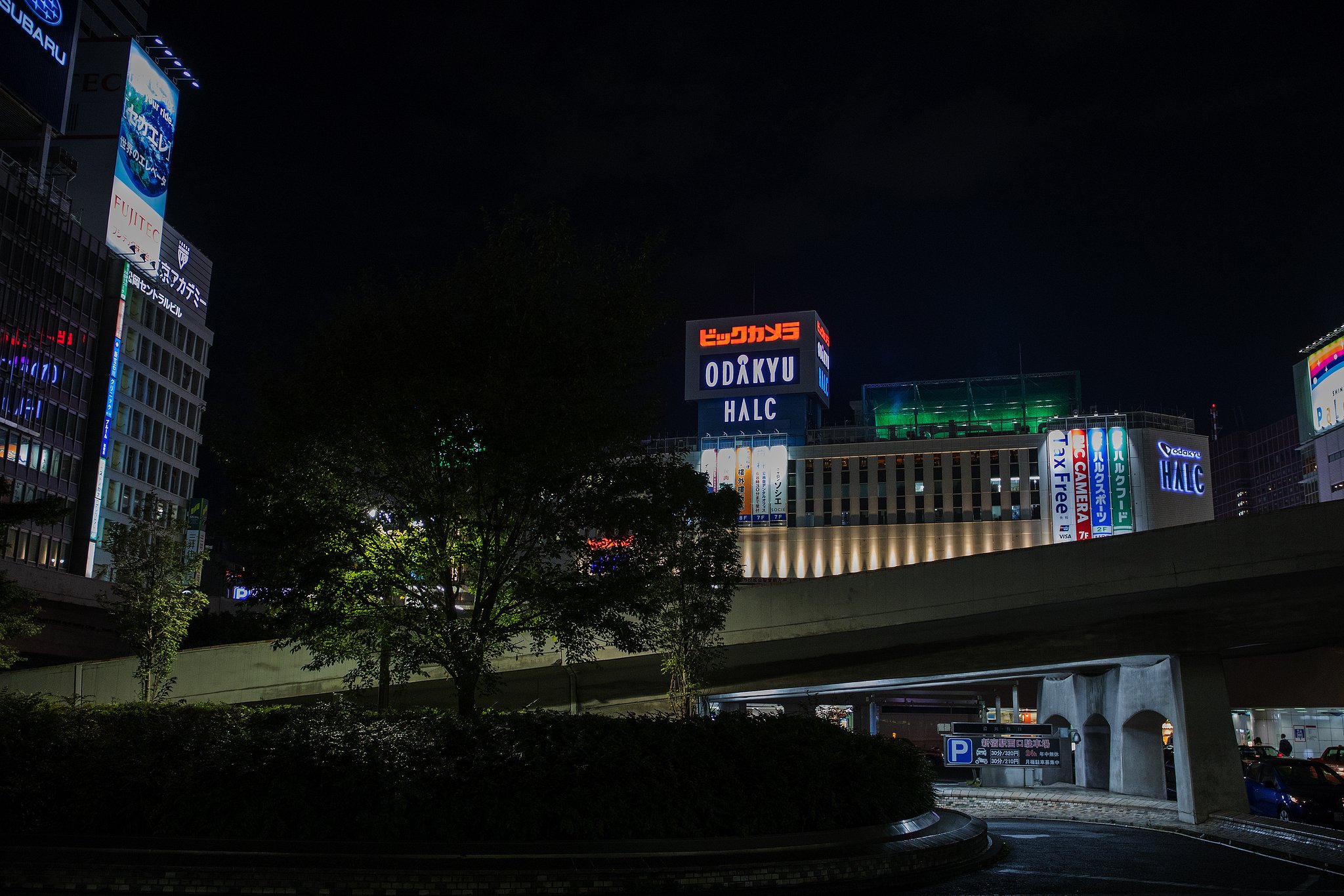 これから夜の顔へ