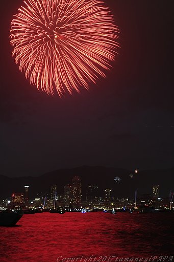 海炎上