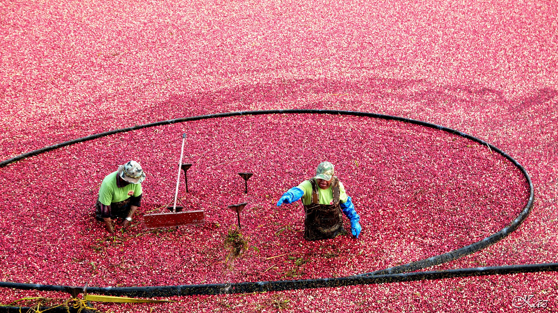 Farmers