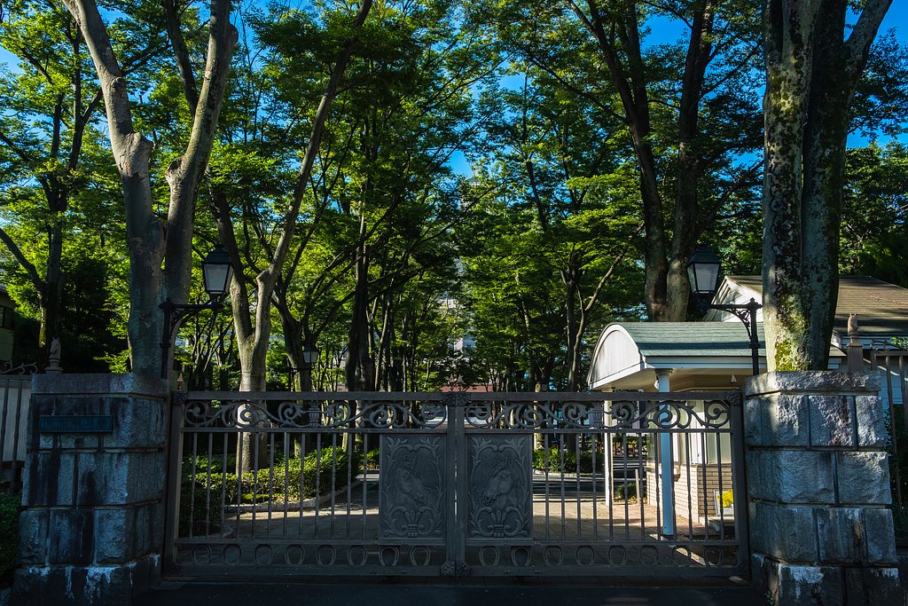 東京競馬場