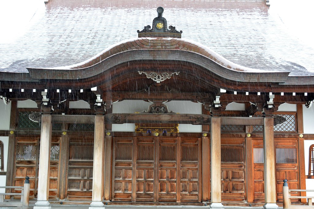 雨
