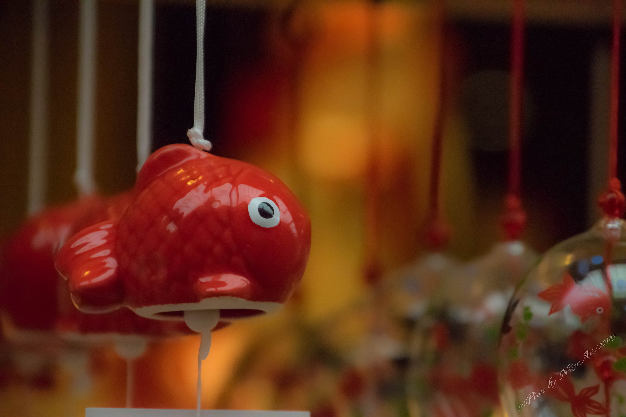 うるさい金魚