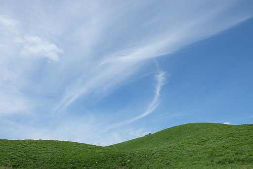 夏の丘