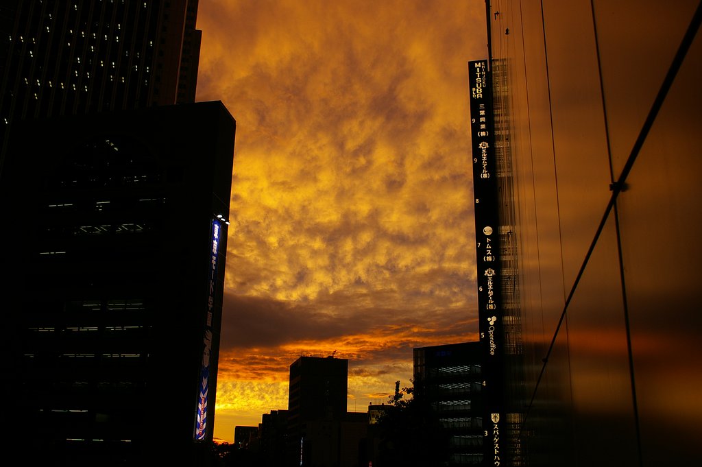 夕焼け