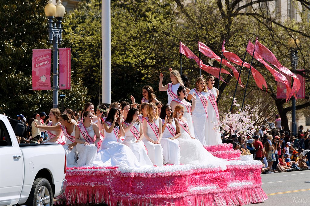 【桜花】のプリンセス勢ぞろい🌸
