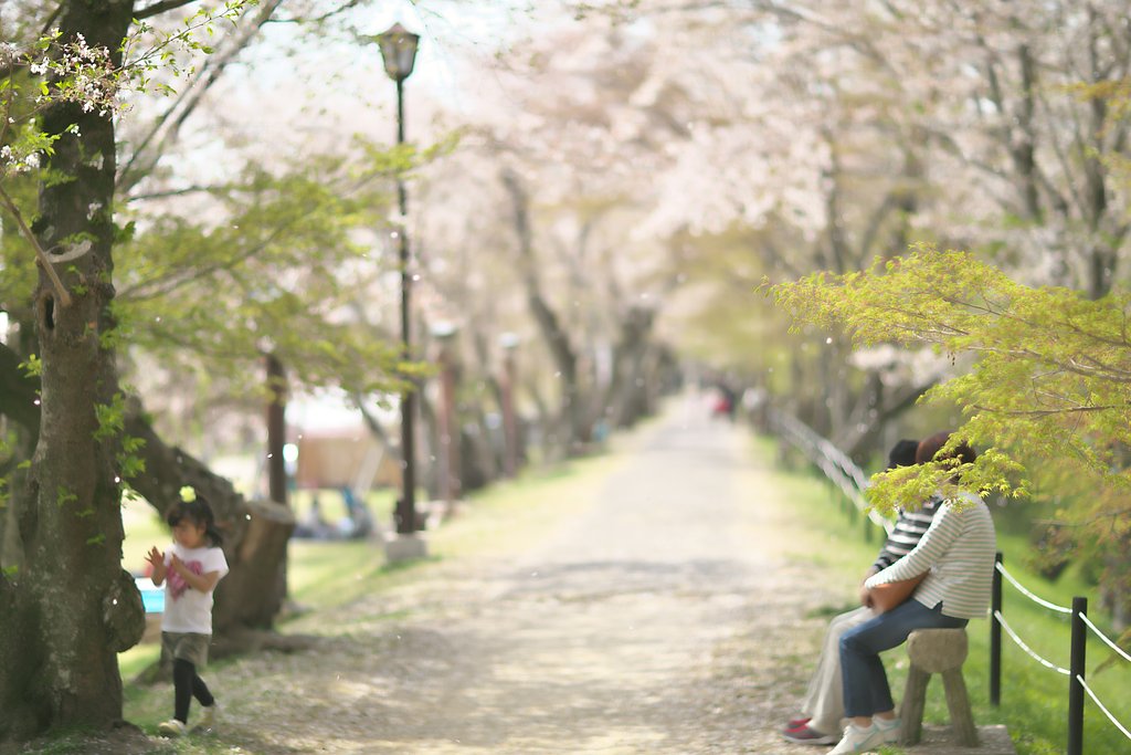 飛花落葉