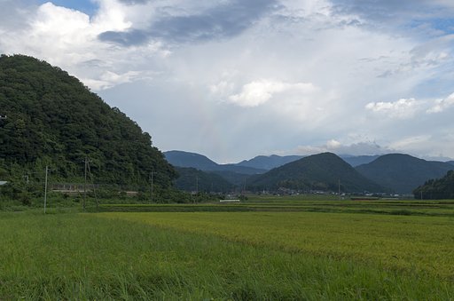 虹が見れました。