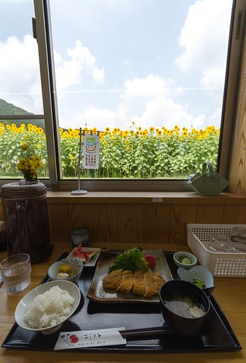 夏の食堂