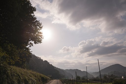 晴れた朝