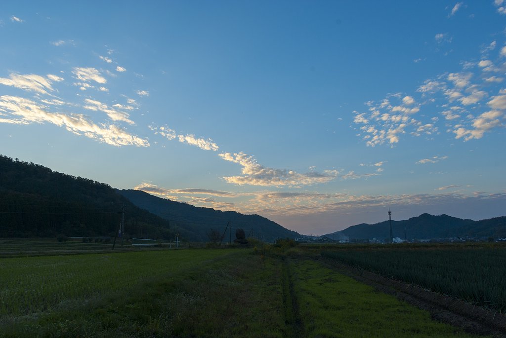 青い夕焼け？