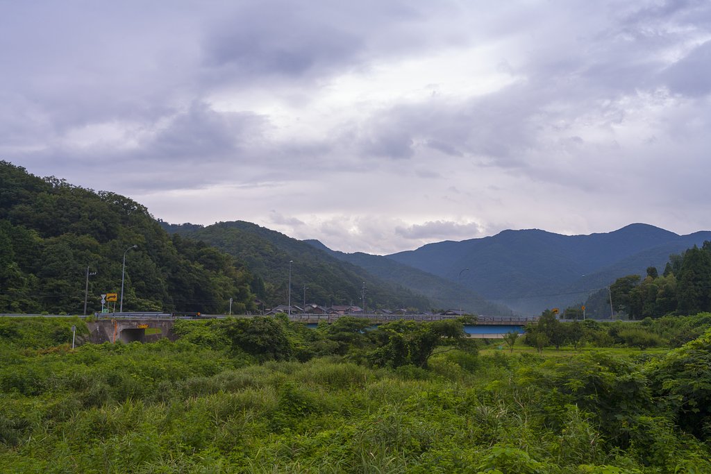 雨がパラパラ