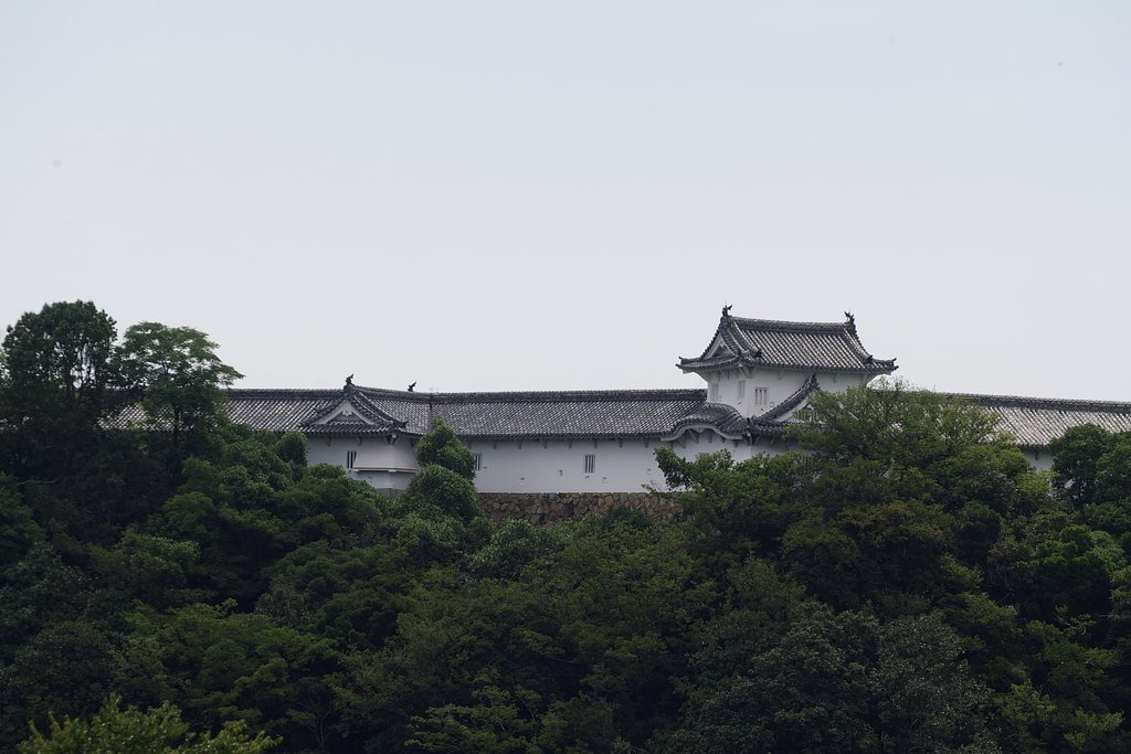 姫路城　百軒廊下